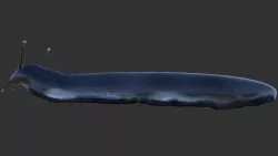 Slug