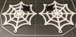 Spider and Web Earrings
