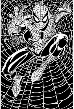 Spiderman stencil 14