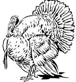 Turkey stencil