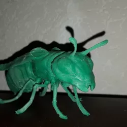 Wasp