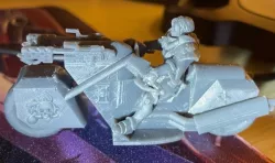 Battle Sister On Flame Bike