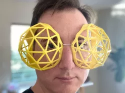 Bug Eye Goggles