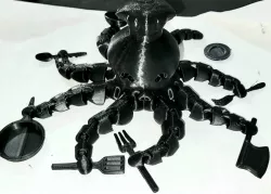 Culinary Octopus