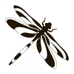 Dragonfly wall art