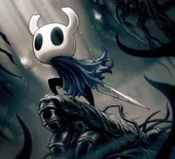 Hollow knight