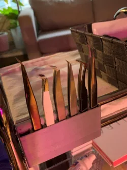 Lash tweezer holder