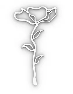 Native Flower