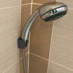 Shower holder