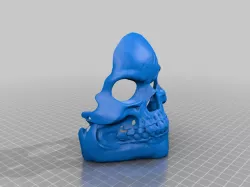 Skullmask with nosehole