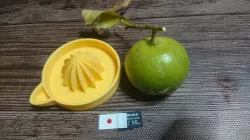 Small citrus squeezer
