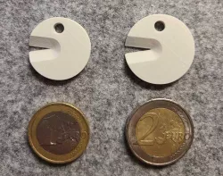Tick Removal Coin