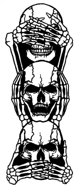 2D Wise Skulls