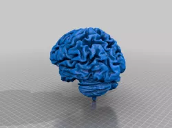 Brain Lamp (IKEA Bulb and Stand)