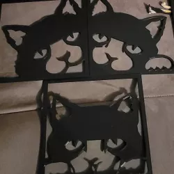 Cat Wall Art