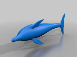 Dolphin