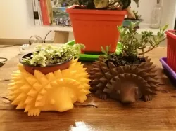 Hedgehog Planter with feet