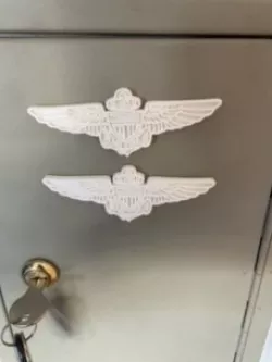 Naval Aviator Wings Magnet