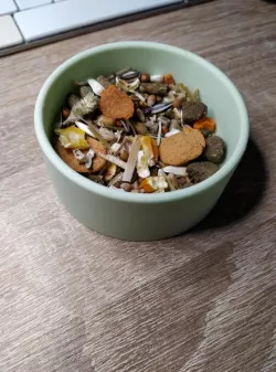 Pet Food Feeder Bowl