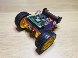 Sneaky. Simple WebRTC controlled bot.