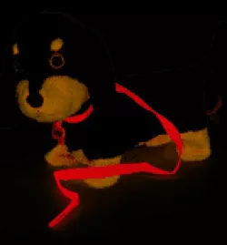 A pulley fix for Waggles (Animagic 'My Wiggling Walking Pup' Called Waggles)