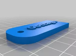 Customizable Keychain / Luggage Tag