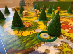 Enchanted Forest Tree Ring