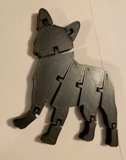 Flexi French Bulldog