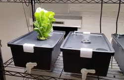 Hydroponic Bin System