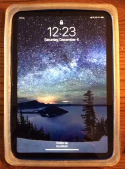 iPad Mini 6 (2021 version) Protective Case