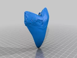 Megalodon Zahn - Baumschmuck - NHMW