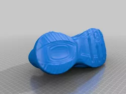 SHOE