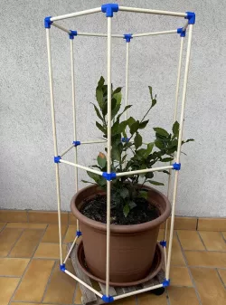 Winter Greenhouse for Pots