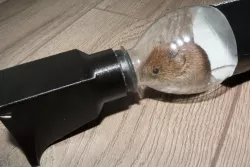 Bottle mousetrap