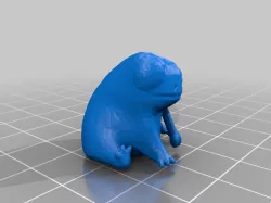 Fred The Frog Anatomy