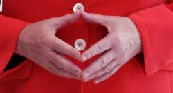 Merkel chicken hands