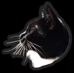 Nomi sticker