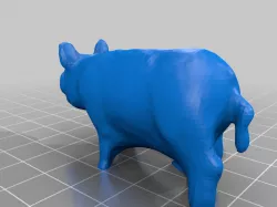 pig