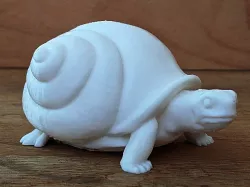 Snail Turtle
