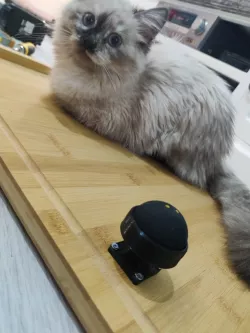 Adjustable squashball feet