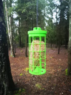Bird feeder