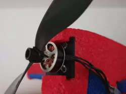 Magnum Motor Plate