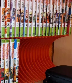 Manga shelf