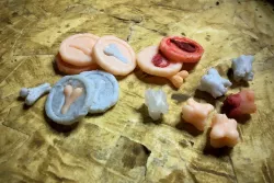 Teeth and Tokens of Inscryption