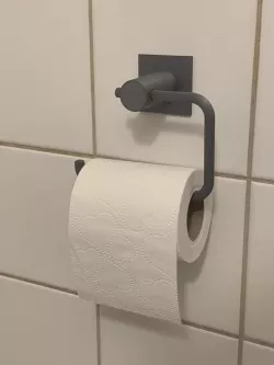 Toilet paper hanger