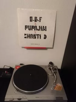 Vinyl record wall bracket