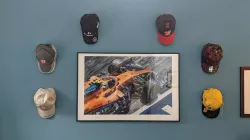 Wall mounted hat hanger