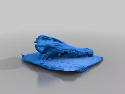 Alligator Skull