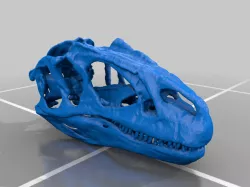 Allosaurus Skull (with teeth)