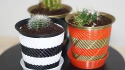 Cactus pot